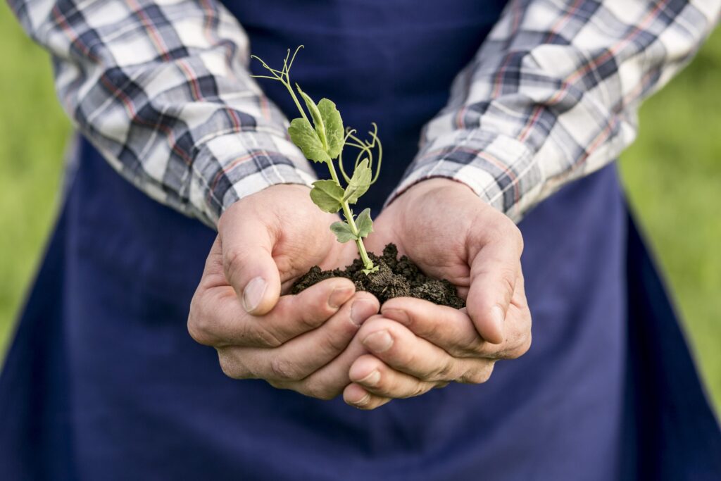 Soluciones en logística, comercio y agricultura.