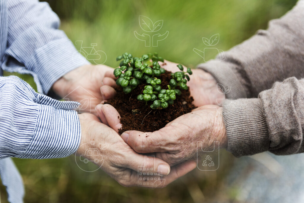 Soluciones en logística, comercio y agricultura.